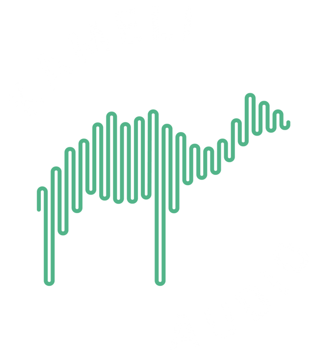 Kameli Audio Oy